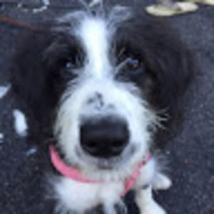 Meet your Posher, Kennedy